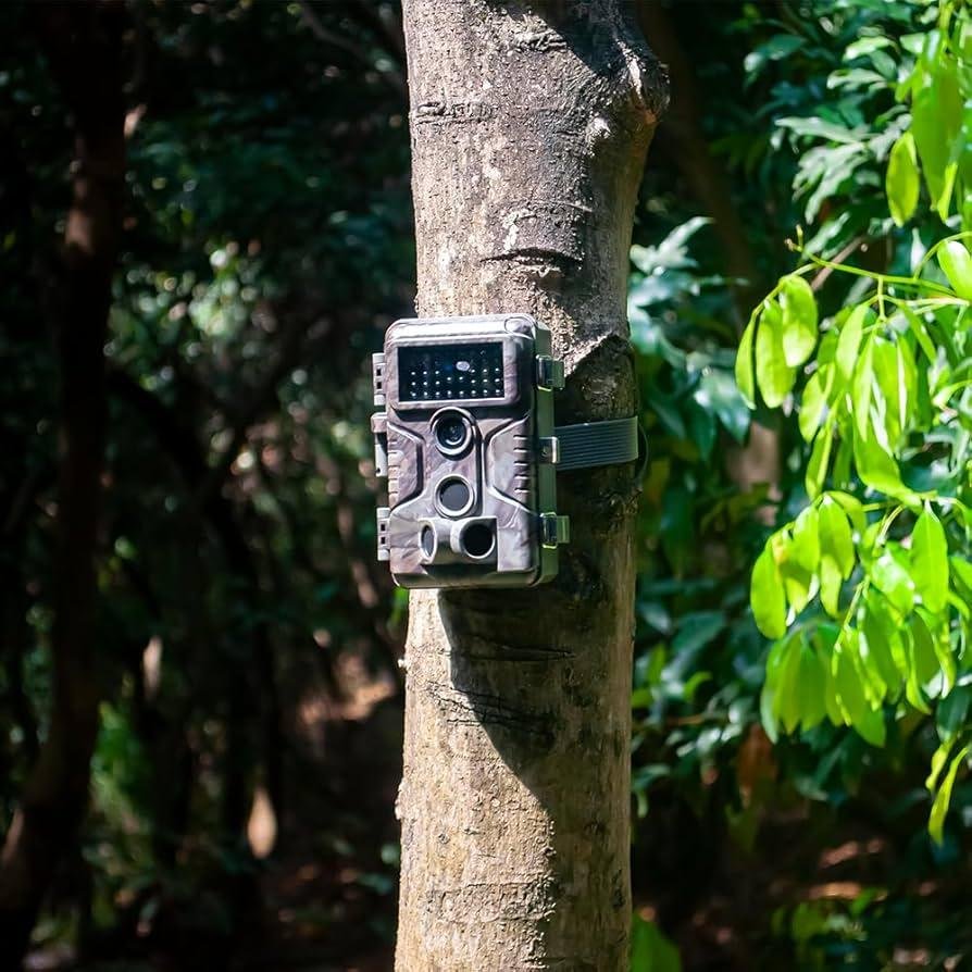 Choosing the Right Trail Camera for Your‌ Needs