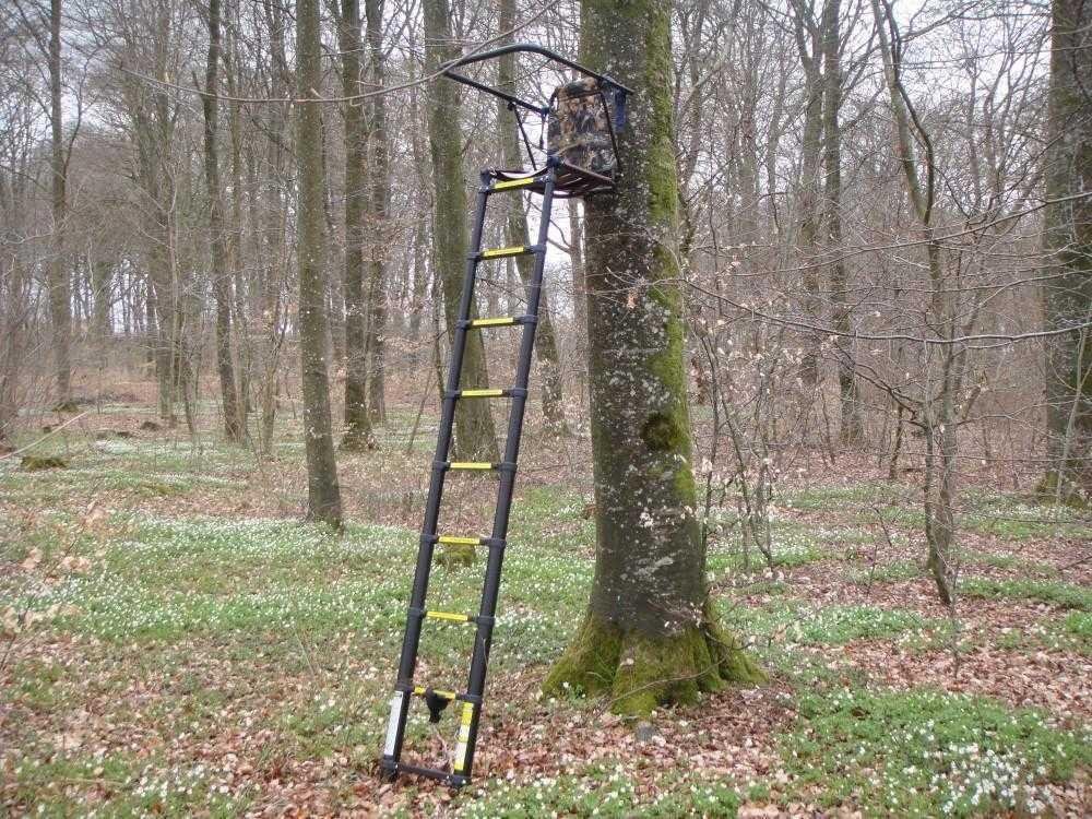 Safety First: Key​ Features‌ to Look⁤ for in⁣ a Tree Stand
