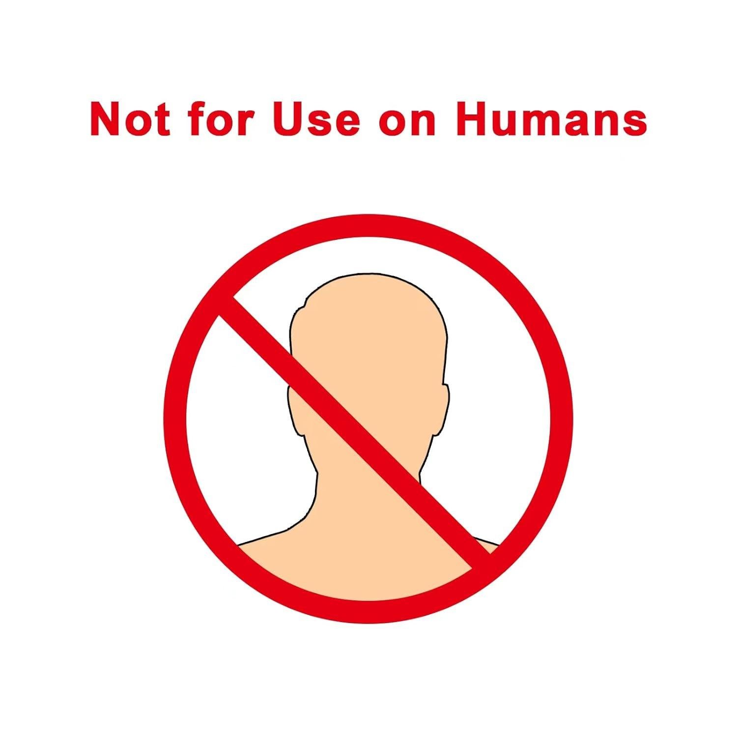 Securing Our Valuables: reviewing SnapSafe's XXL Lock Box