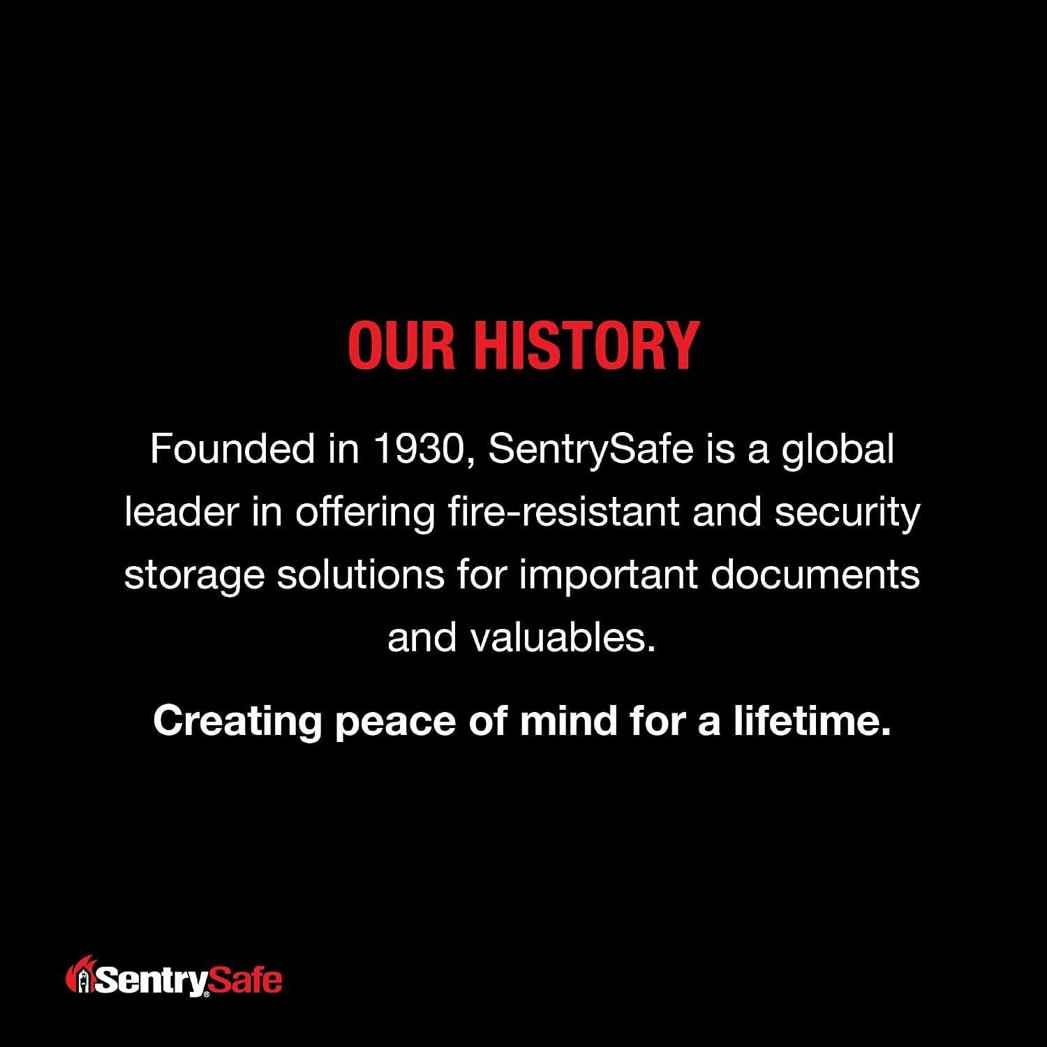 Explore the sentrysafe QAP2BEL: Biometric Access Redefined