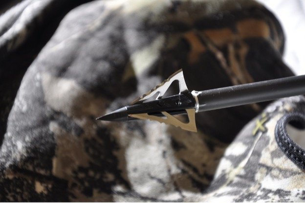 How To Choose The Right Broadheads For Hunting