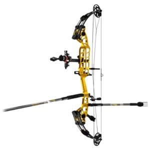 Sanlida Archery 37" Hero 10 Ⅱ Advanced Target Compound Bow Kit for Competition with Advanced Target Accessories (Large Cam 31.5", Gold, 50#-60#)