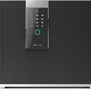 Fireproof Waterproof for Personal Home Safe Double Safety Key Lock and Password with Id Biometric Fingerprint, Cabintet Safes with Mute Funtion, for Money And Document Proof, Black-1