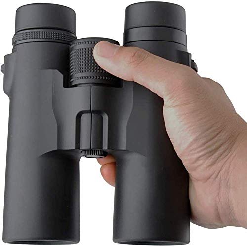 Professional HD Binoculars for Bird Watching, Hunting, Sports & Travel - 8x32 Lens - Image 6