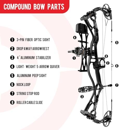 Sanlida Dragon 10 Compound Bow Kit 340 FPS, 60-70lb, Black, 2024 - Image 5