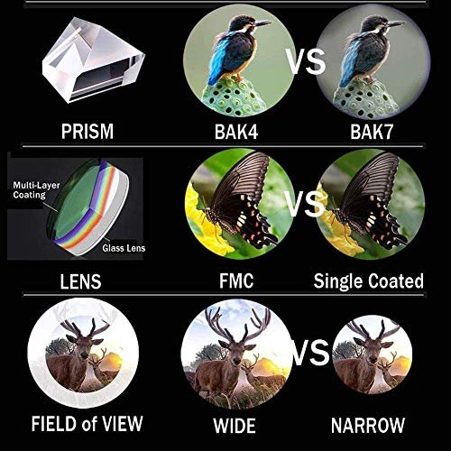 Professional HD Binoculars for Bird Watching, Hunting, Sports & Travel - 8x32 Lens - Image 5