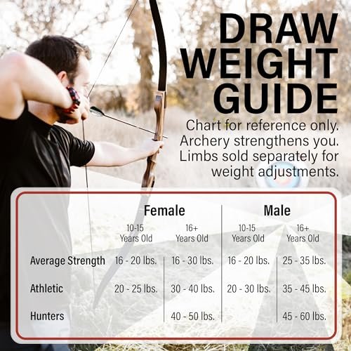 Spyder 62" Right Hand Recurve Bow 29lb – Fast, Accurate, Handcrafted - Image 6