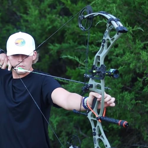 Sanlida Dragon 10 Compound Bow Kit 340 FPS, 60-70lb, Black, 2024 - Image 6