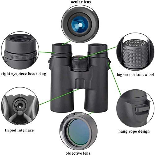 Professional HD Binoculars for Bird Watching, Hunting, Sports & Travel - 8x32 Lens - Image 4