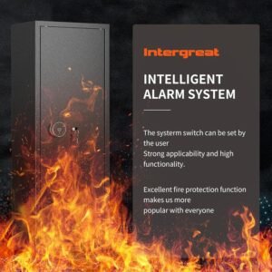 Unlocking Security: Our Adventures with the INTERGREAT Safe