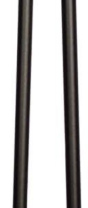 Steady Shots and Easy Walks: Our Take on Steady Stix